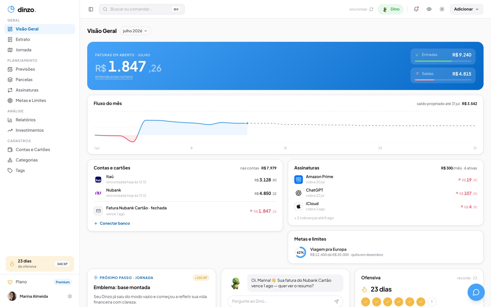 Dashboard web do Dinzo — Visão Geral